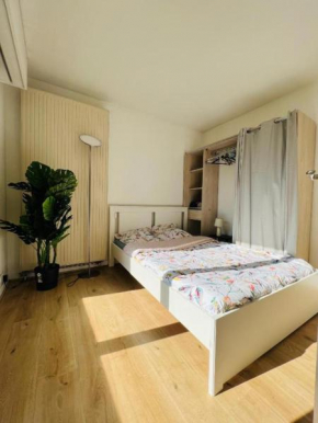 Charmant appartement en plein centre ville de Nogent sur Marne